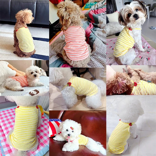 Breathable Dog Vest – Lightweight Summer Pet Shirt
