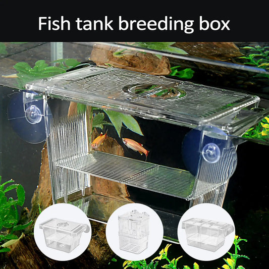 Acrylic Fish Breeding & Isolation Box for Aquariums