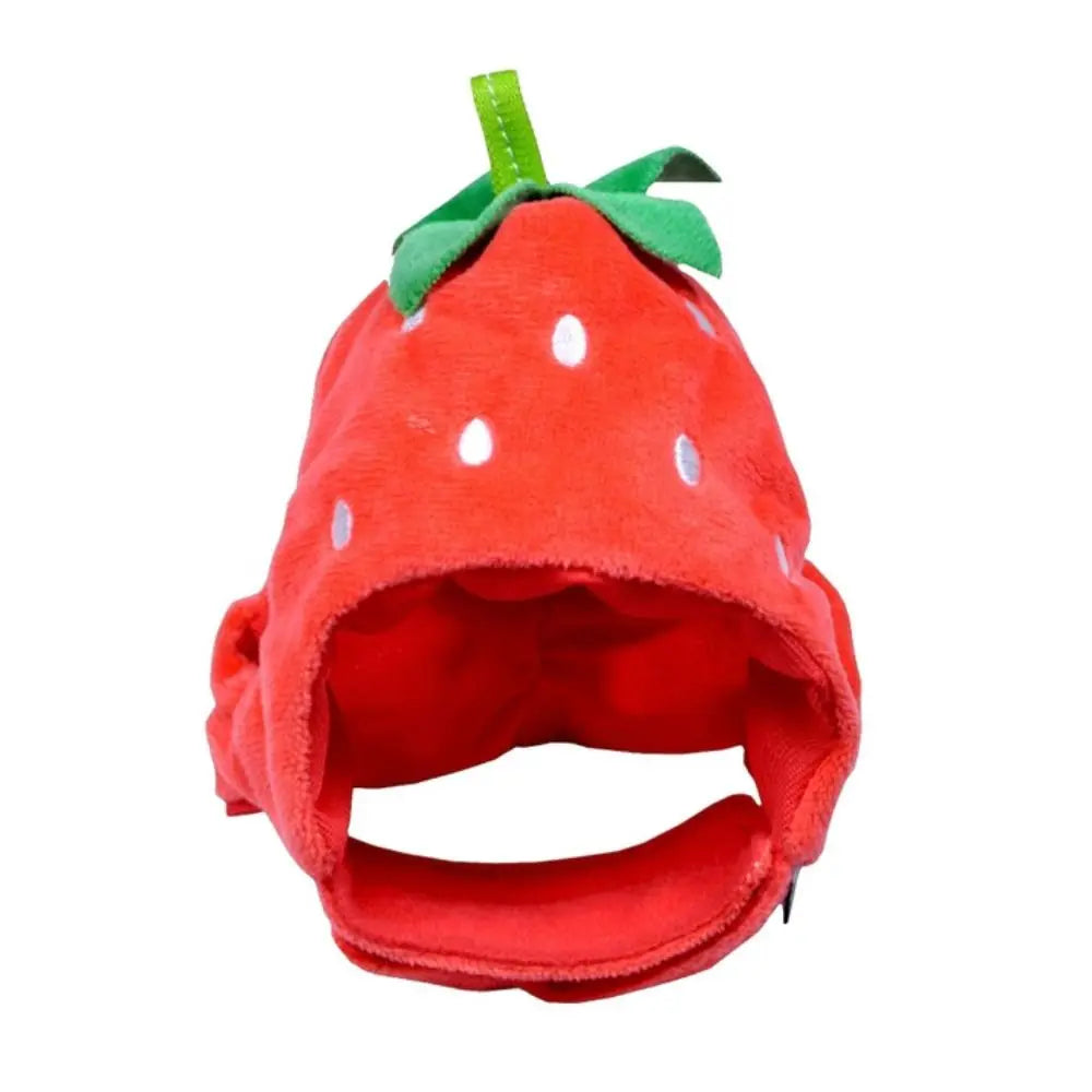 Cute Fruit Shape Pet Hat