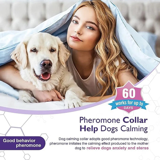 Calming Pheromone Collar for Dogs & Cats