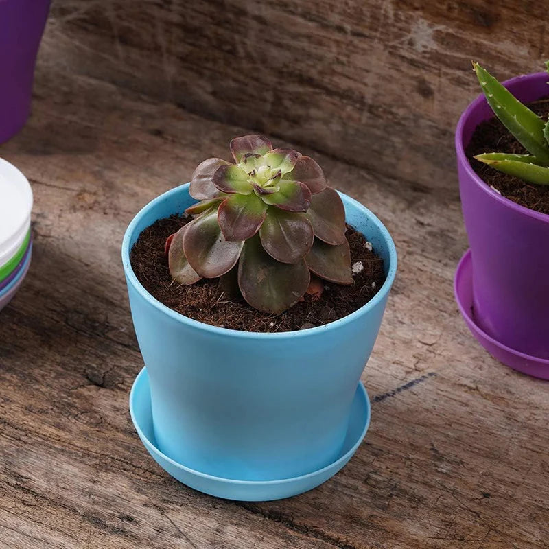 Mini Flower Pot with Tray