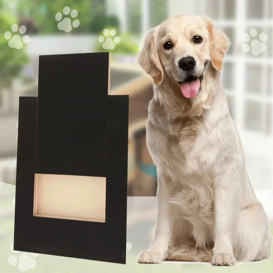 Wooden Dog Nail Scratching Board with Treat Box