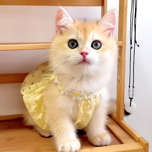 Floral Princess Pet Dress for Cats & Small Dogs