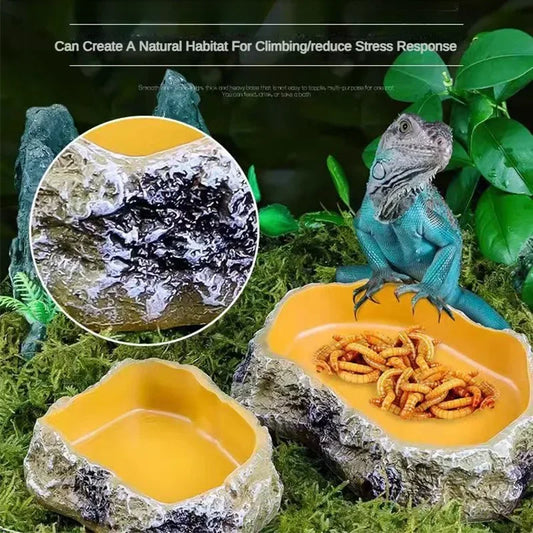 Reptile Water & Food Feeding Bowl