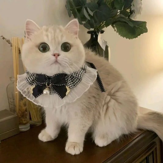 Silk Wedding Style Cat & Dog Collar with Bow Tie