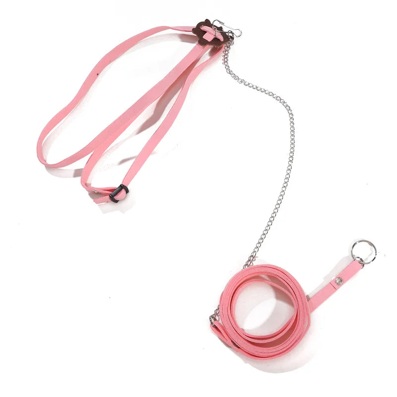 Turtle Harness & Walking Leash