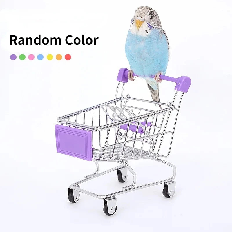 Interactive Bird Training Toy Set