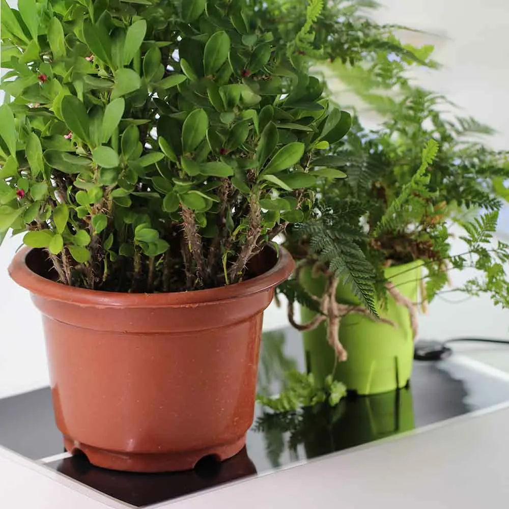 Waterproof Seedling Heating Mat