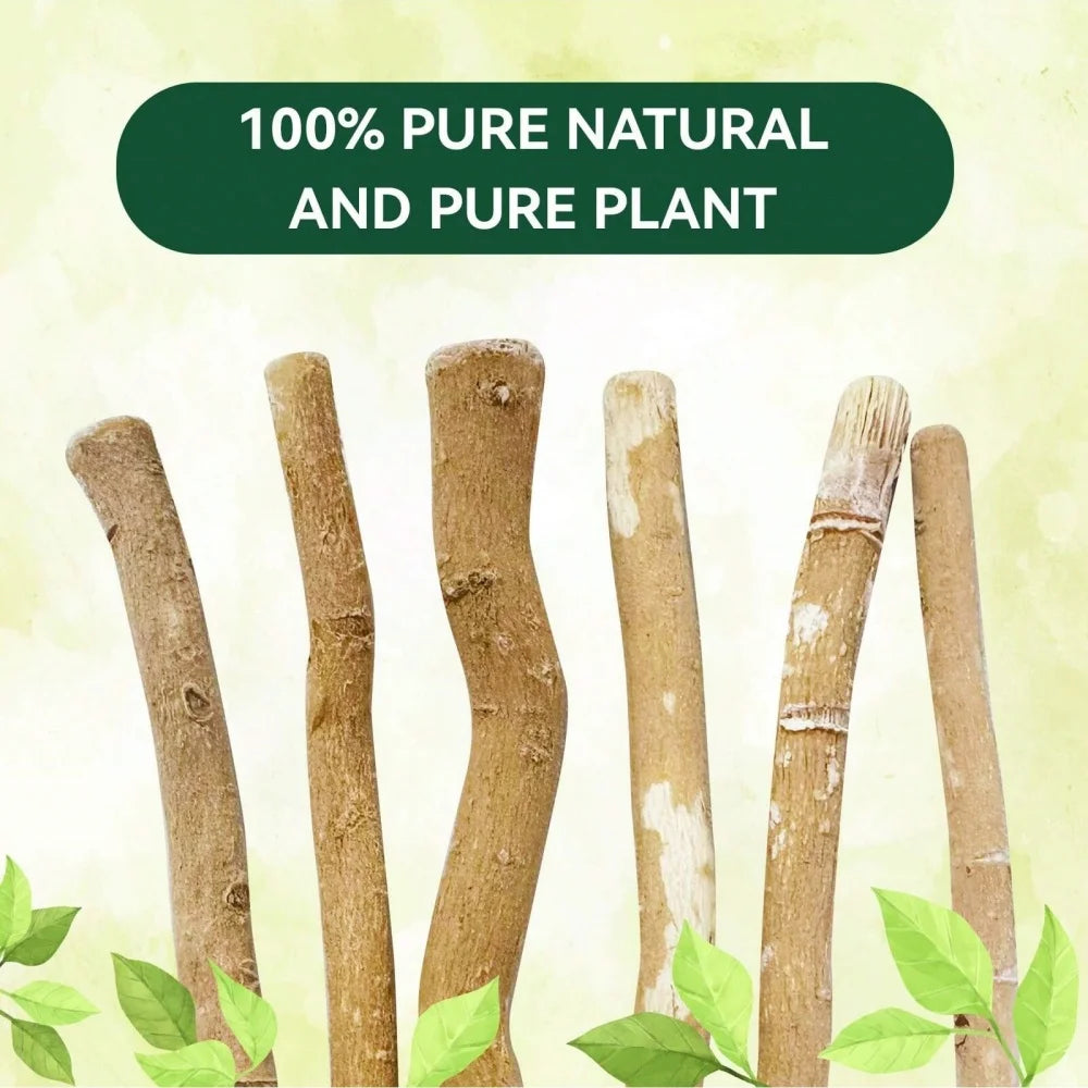 Ultra-Thin Natural Toothbrush Stick