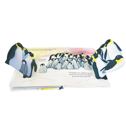 Usborne Peep Inside Snowy Places Children’s Picture Book