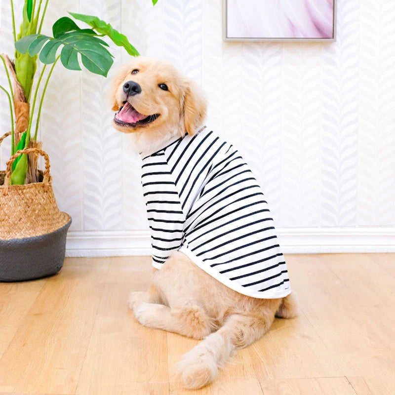 Bigeyedog Summer Cotton Dog T-Shirt