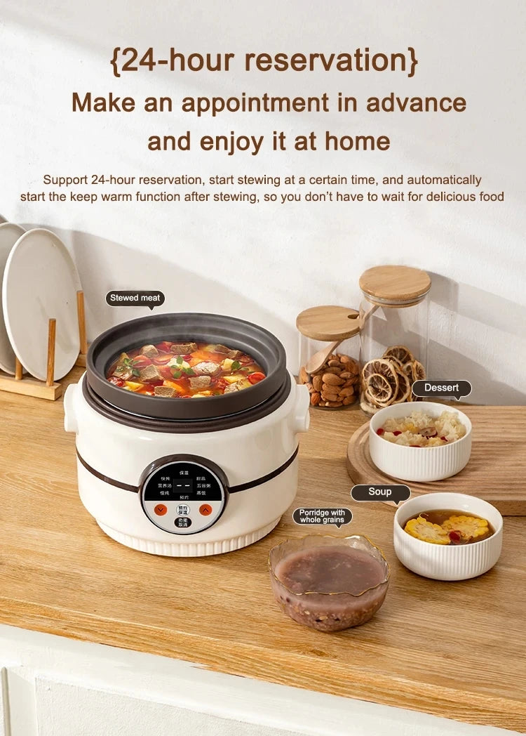 Electric Rice Cooker