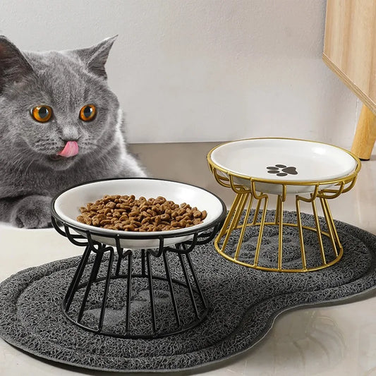 Elevated Ceramic Cat Food Bowl with Metal Stand
