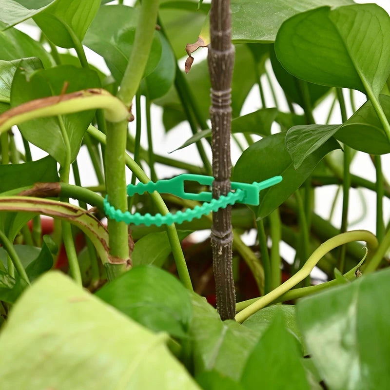 Reusable Adjustable Garden Plant Ties
