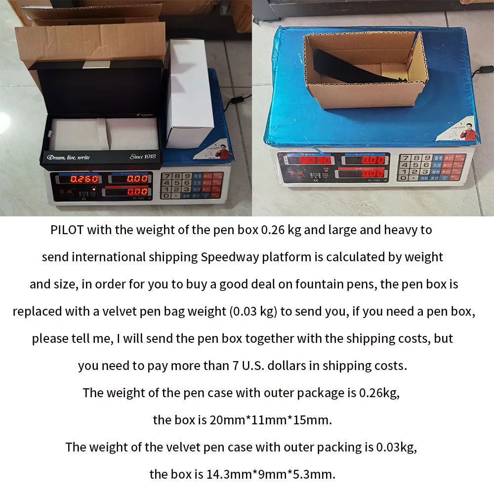 Pilot Pen Capless Fountain Pen Original 18K Gold Nib