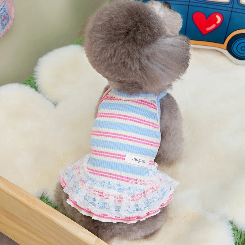 Striped Summer Dog Dress with Lace Skirt