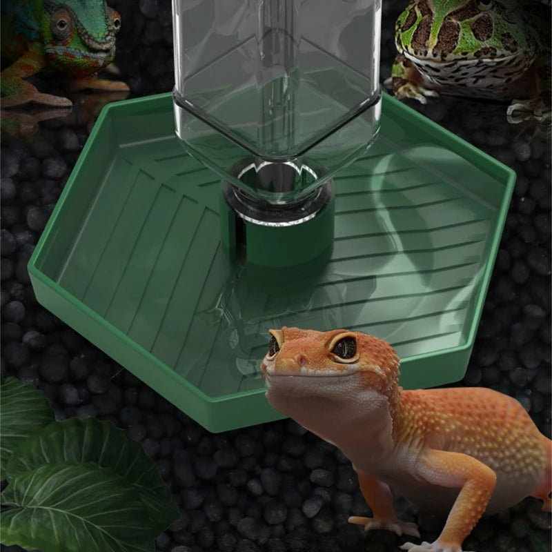 Reptiles Water Feeder Bowl
