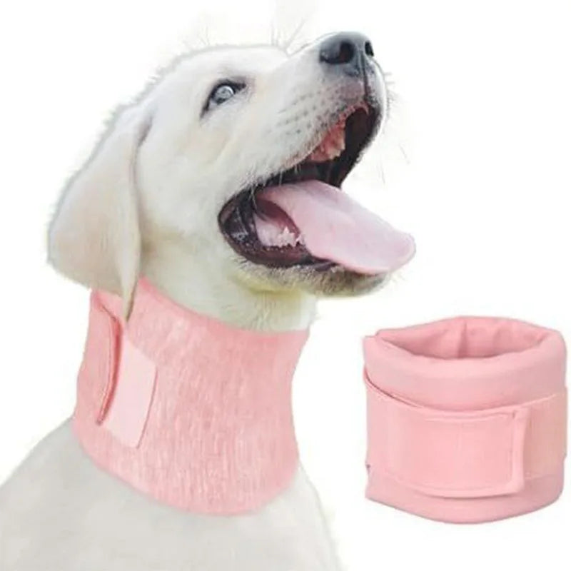 Adjustable Dog Neck Brace for Surgery Recovery