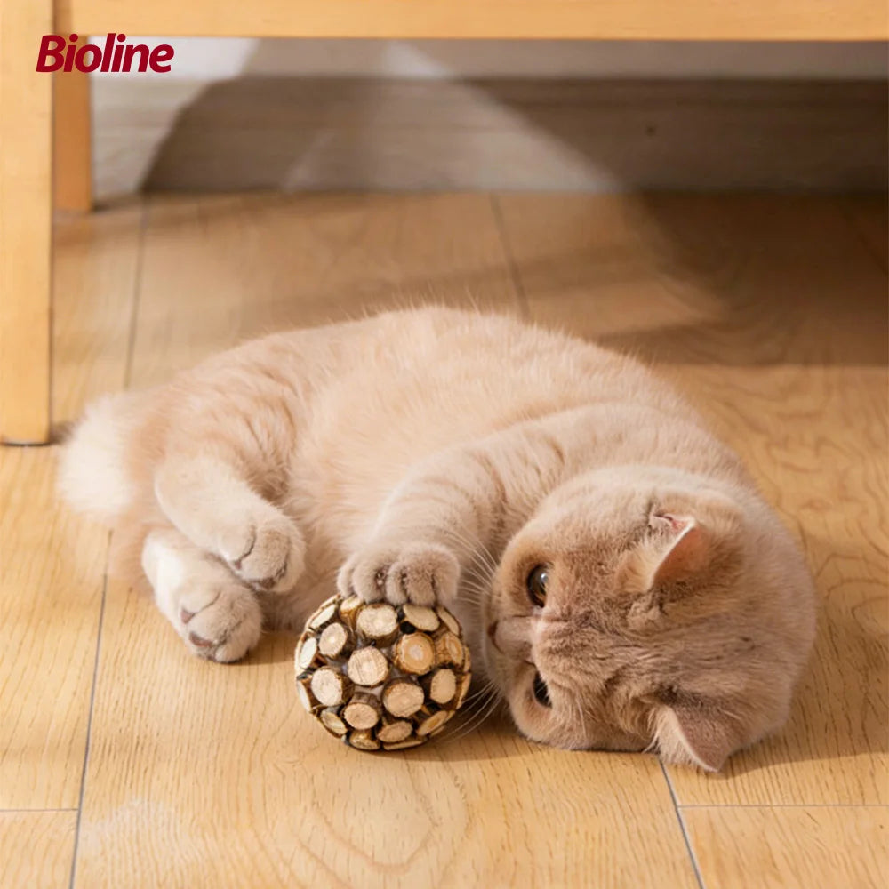 Silvervine Matatabi Cat Toy Ball