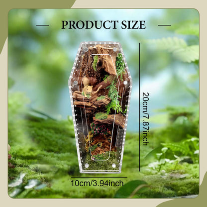 Transparent Acrylic Reptile & Spider Terrarium