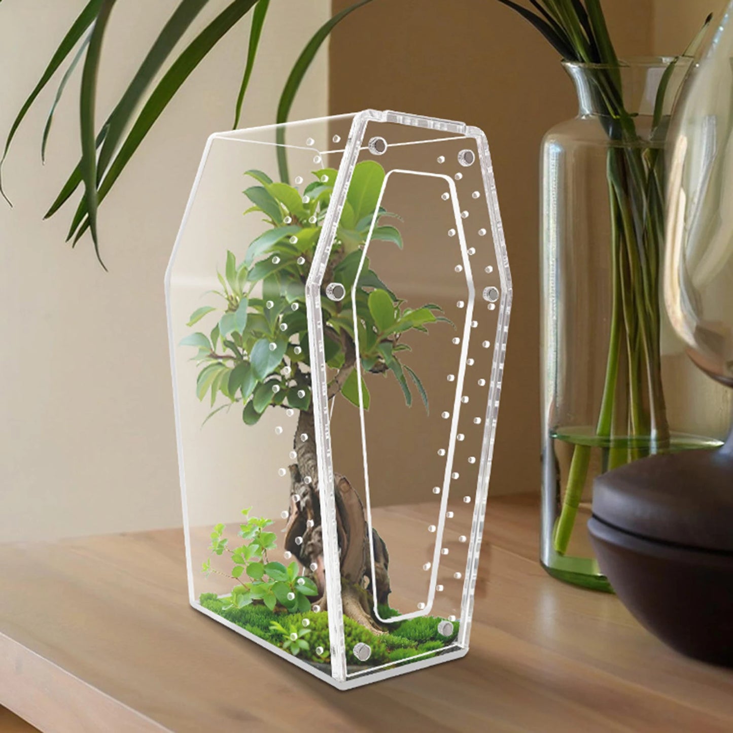 Transparent Acrylic Reptile & Spider Terrarium