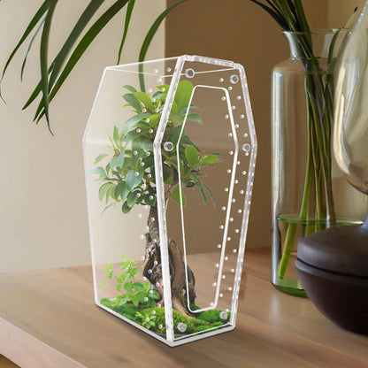 Transparent Acrylic Reptile & Spider Terrarium