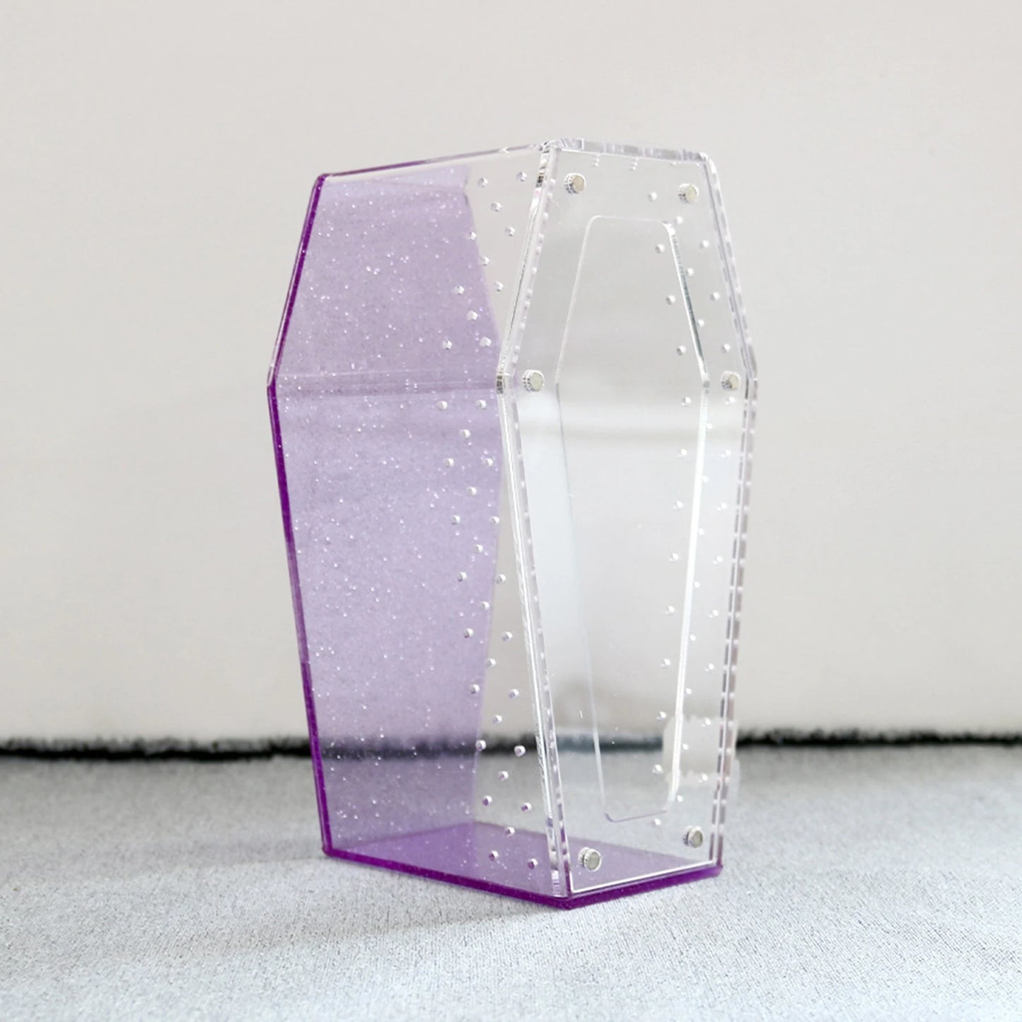 Transparent Acrylic Reptile & Spider Terrarium