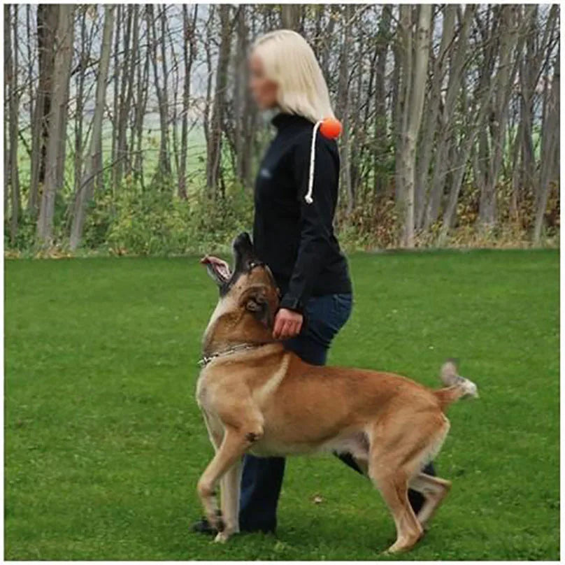 Magnetic Dog Training Ball with Rope