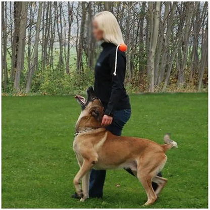Magnetic Dog Training Ball with Rope
