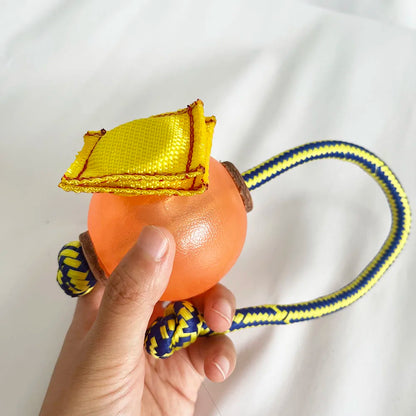 Magnetic Dog Training Ball with Rope
