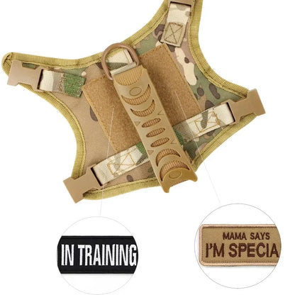 Tactical Cat Harness & Leash Set with Velcro Patches