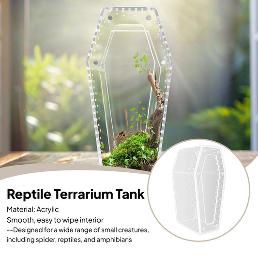 Transparent Acrylic Reptile & Spider Terrarium