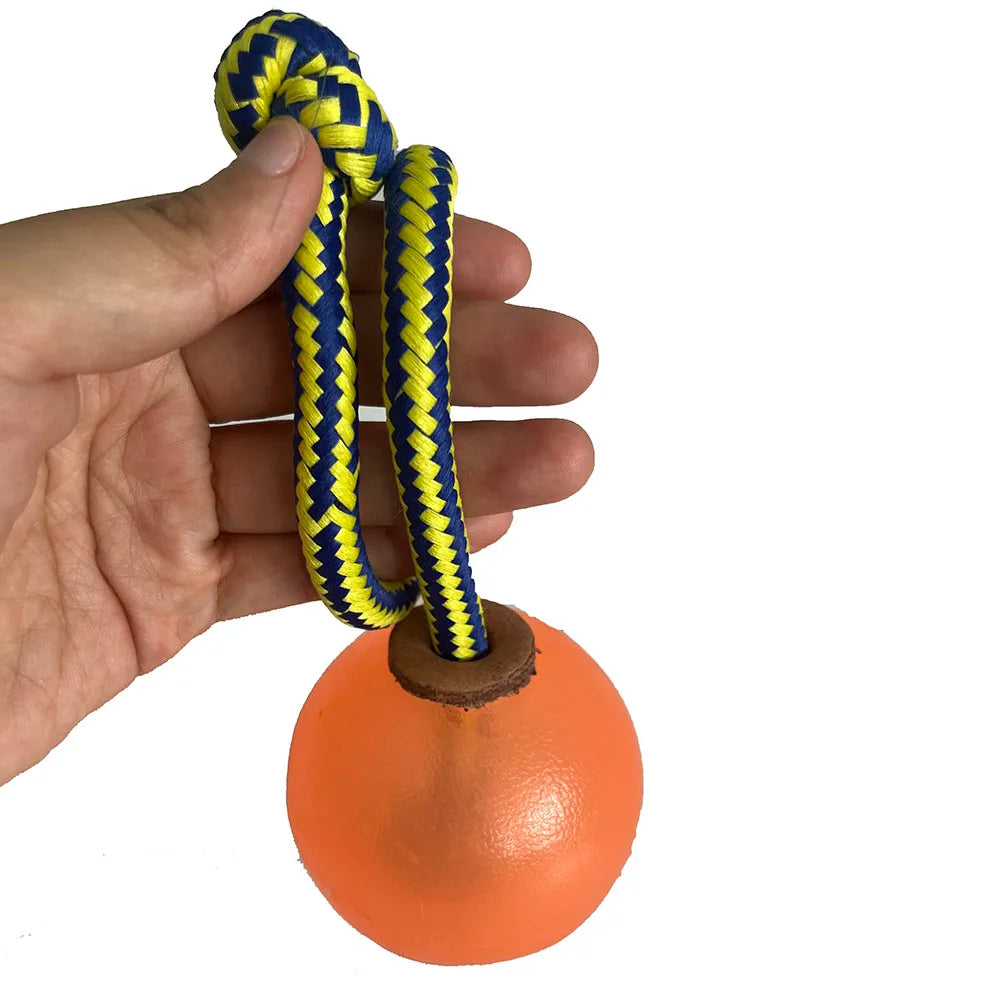 Magnetic Dog Training Ball with Rope