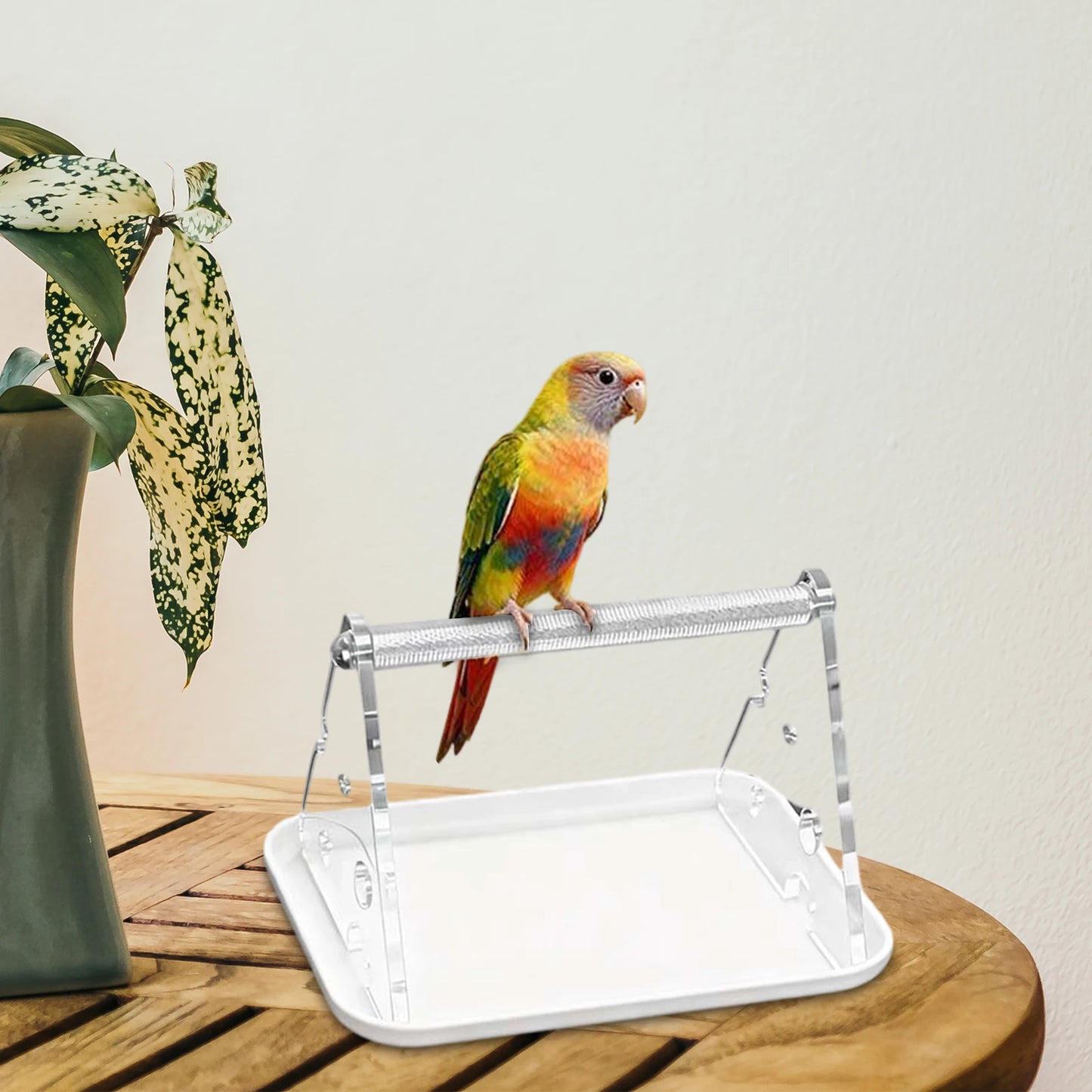 Portable Tabletop Bird Perch Stand