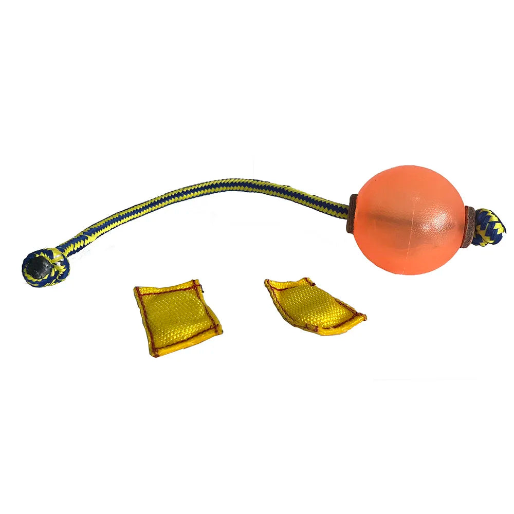 Magnetic Dog Training Ball with Rope