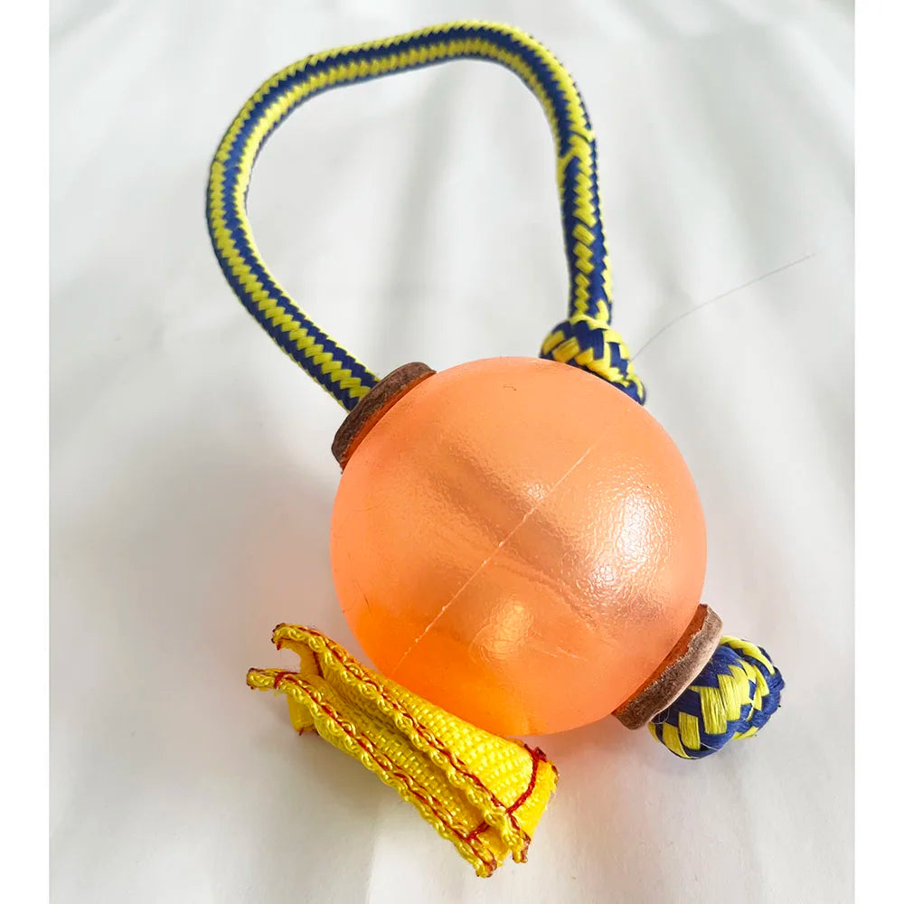 Magnetic Dog Training Ball with Rope