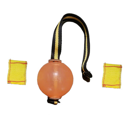 Magnetic Dog Training Ball with Rope