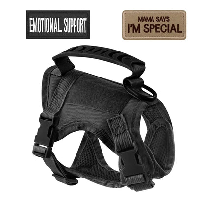 Tactical Cat Harness & Leash Set with Velcro Patches