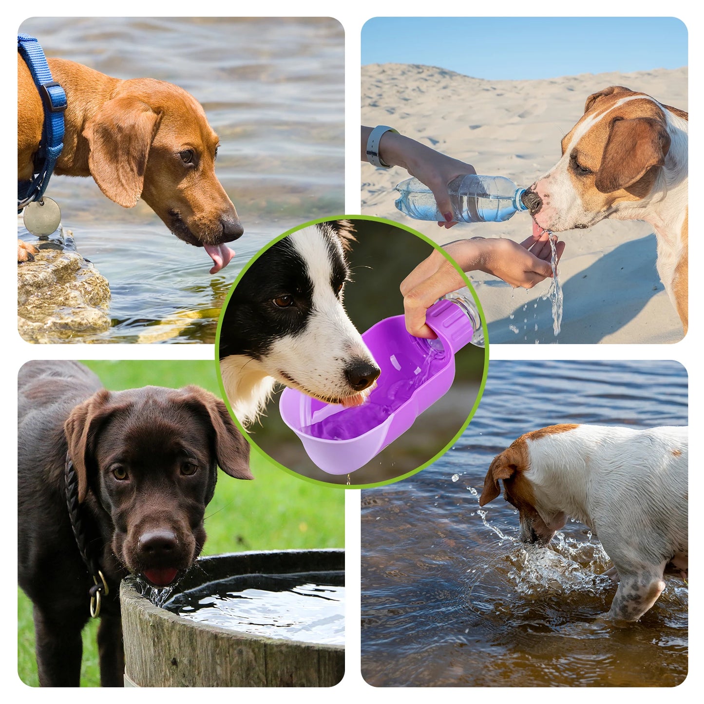 Portable Dog Water Bottle Dispenser