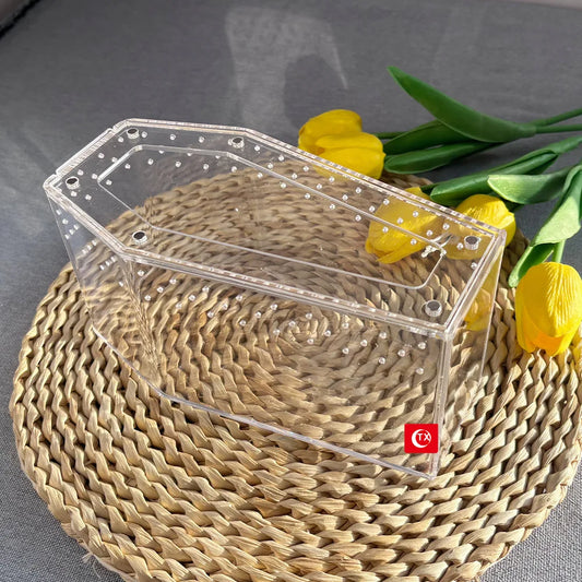 Transparent Acrylic Reptile & Spider Terrarium