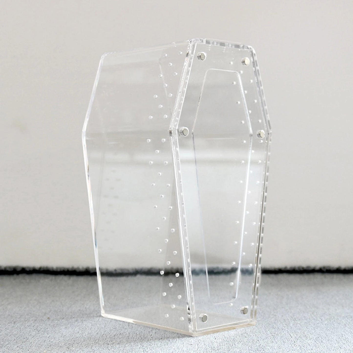 Transparent Acrylic Reptile & Spider Terrarium