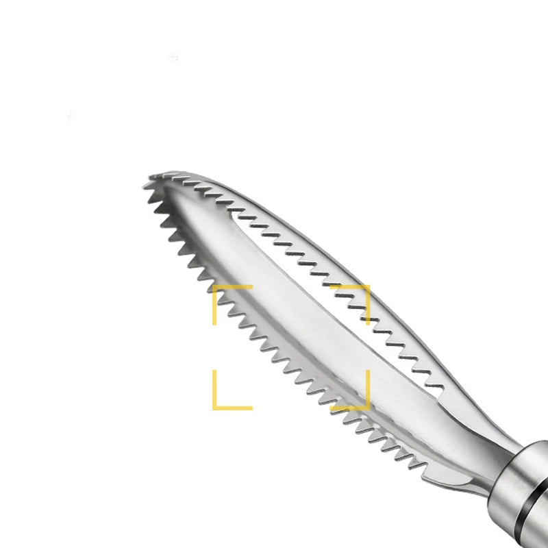 Stainless Steel Fish Scales Scraper