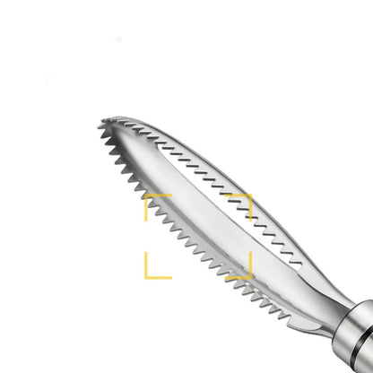 Stainless Steel Fish Scales Scraper