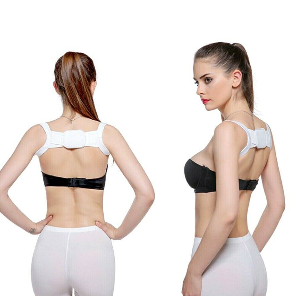 Back Support belt