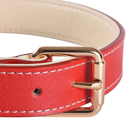 Genuine Leather Padded Dog Collar