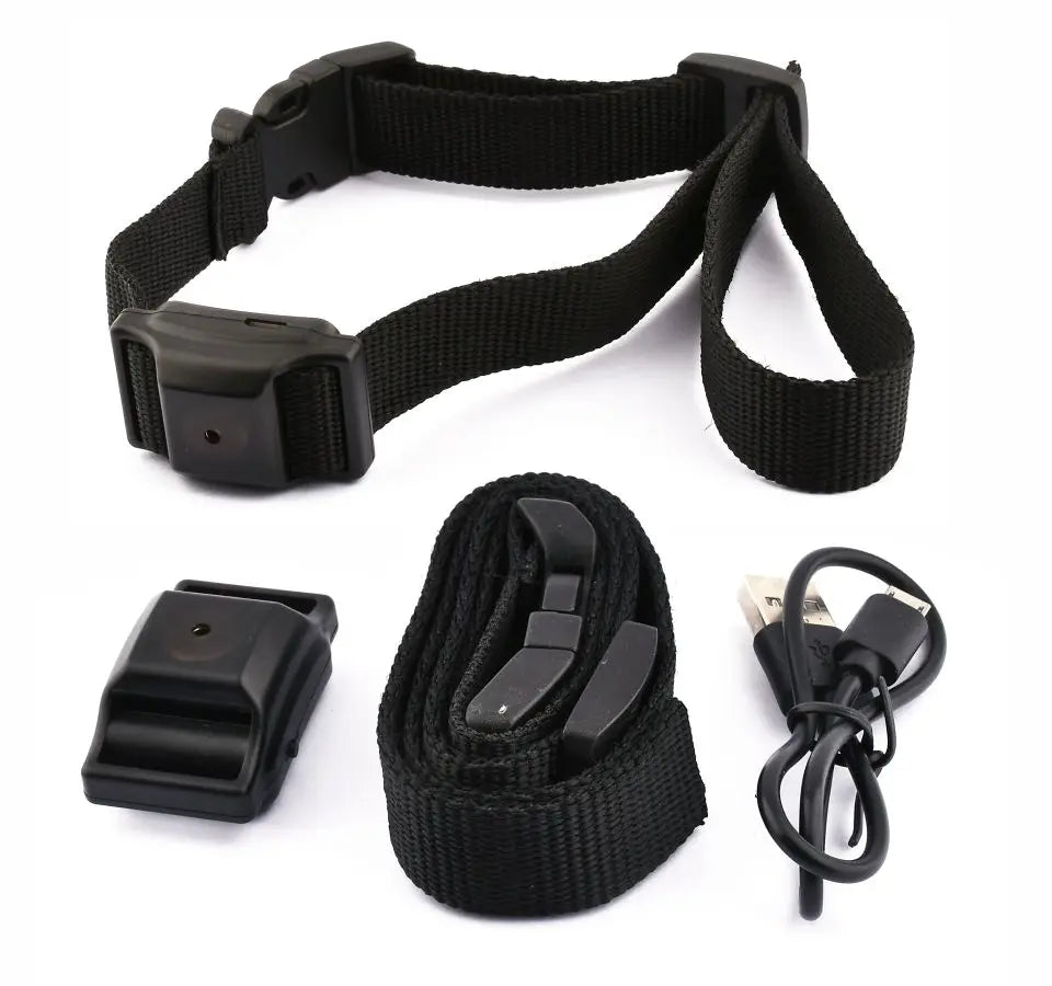 Humane No-Shock Anti-Bark Training Collar for Dogs