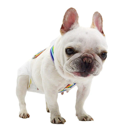 Rainbow Dog Diaper Suspenders with Adjustable Clips