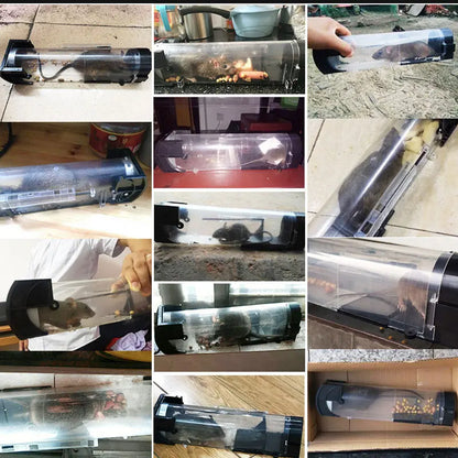 Humane Reusable Mouse Catcher Trap