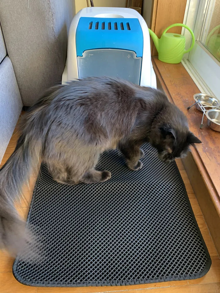 Double-Layer Cat Litter Mat