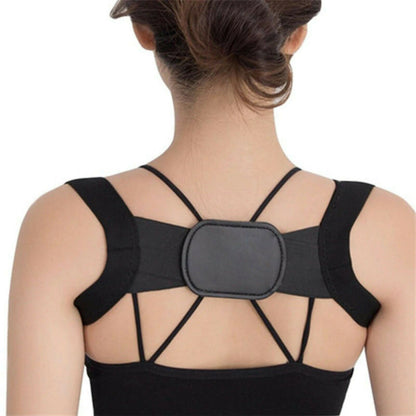 Back Support belt